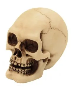 HALLOWEEN OBJEKTE ONLINE Verkäufe 23 2er Set Graveyard Totenschädel Medium