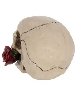 Beiger Totenschädel Mit Roter Rose 15cm -HALLOWEEN OBJEKTE ONLINE Verkäufe beiger totenkopf mit roter rose beiger totenschaedel mit roter rose antic skull with red rose 53389 04