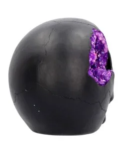 Geode Totenschädel Mit Violettem Gothic Glitter 13 Geode Totenschädel Mit Violettem Gothic Glitter -HALLOWEEN OBJEKTE ONLINE Verkäufe geode totenkopf mit violetten gothic glitzer geode skull with purple gothic glitter 39526 05