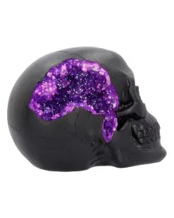 Geode Totenschädel Mit Violettem Gothic Glitter 14 Geode Totenschädel Mit Violettem Gothic Glitter -HALLOWEEN OBJEKTE ONLINE Verkäufe geode totenkopf mit violetten gothic glitzer geode skull with purple gothic glitter 39526 06