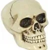 Schaltknauf Totenschädel -HALLOWEEN OBJEKTE ONLINE Verkäufe horrorshop.com autoknauf totenkopf totenschaedel schaltknauf totenkopf sammlerfigur 27091