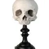 J. DOE Totenschädel Auf Sockel 20cm -HALLOWEEN OBJEKTE ONLINE Verkäufe j doe totenkopf auf sockel j doe totenschaedel auf sockel j doe skull plinth gothic homware 54857 04