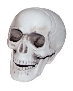 Mini Totenkopf Mit Beweglichem Kiefer