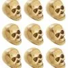 Mini Totenschädel Im Netz -HALLOWEEN OBJEKTE ONLINE Verkäufe mini totenkoepfe im netz kleine totenschaedel im netz mini skulls 21585 3